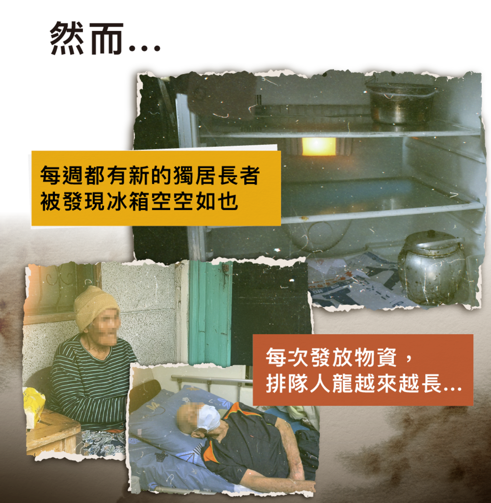 台東向日葵
