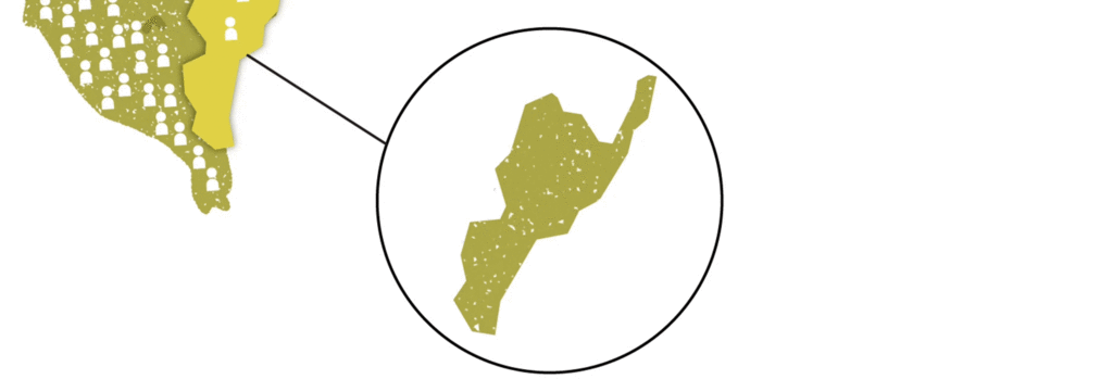台東向日葵