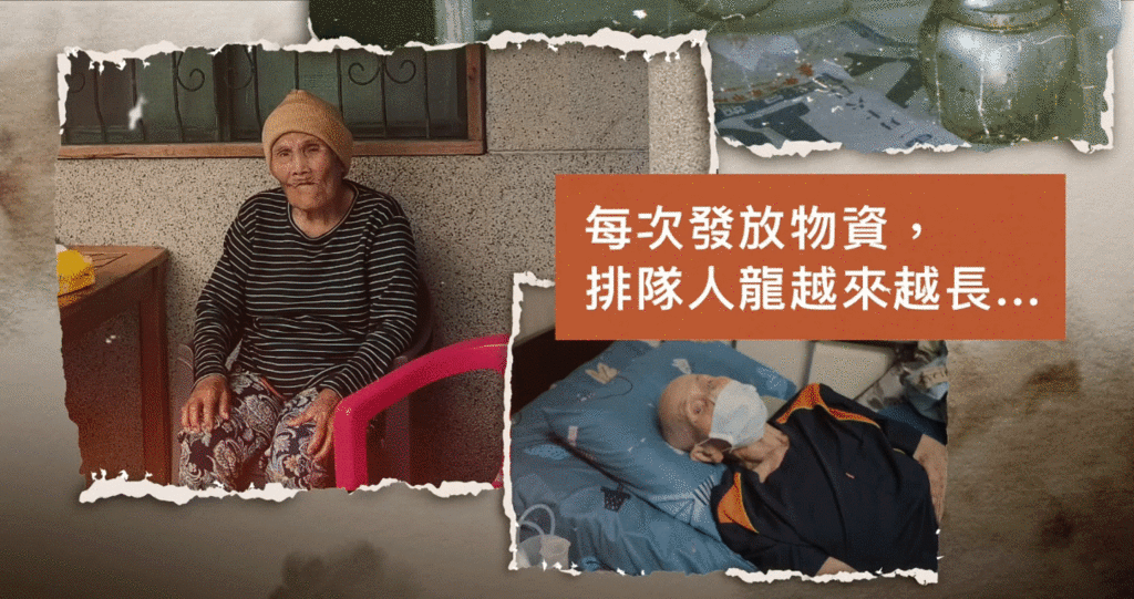 台東向日葵