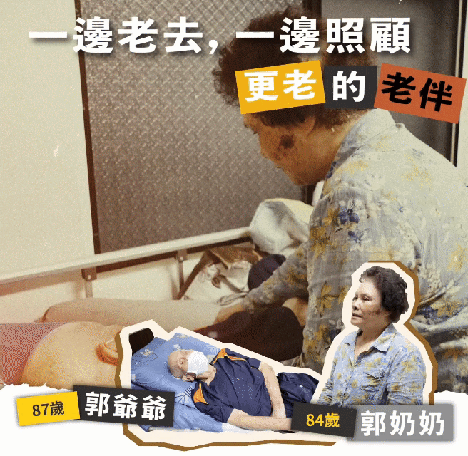 台東向日葵