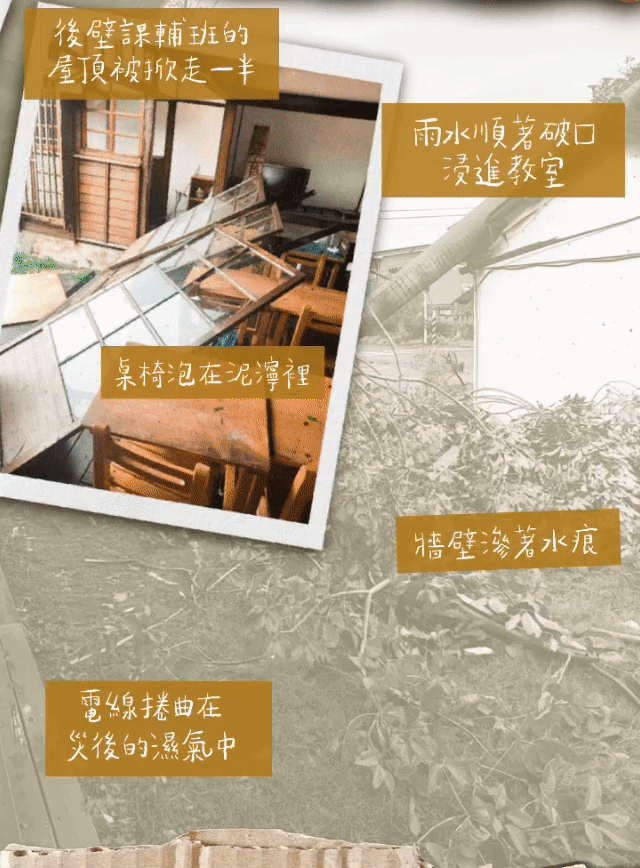 璞育