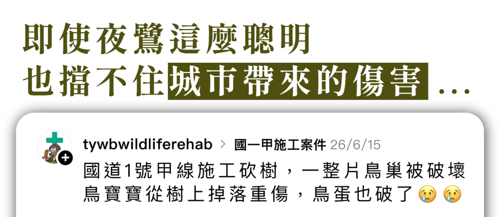 救傷社群貼文:國道1號甲線施工砍樹,整片鳥巢遭破壞
