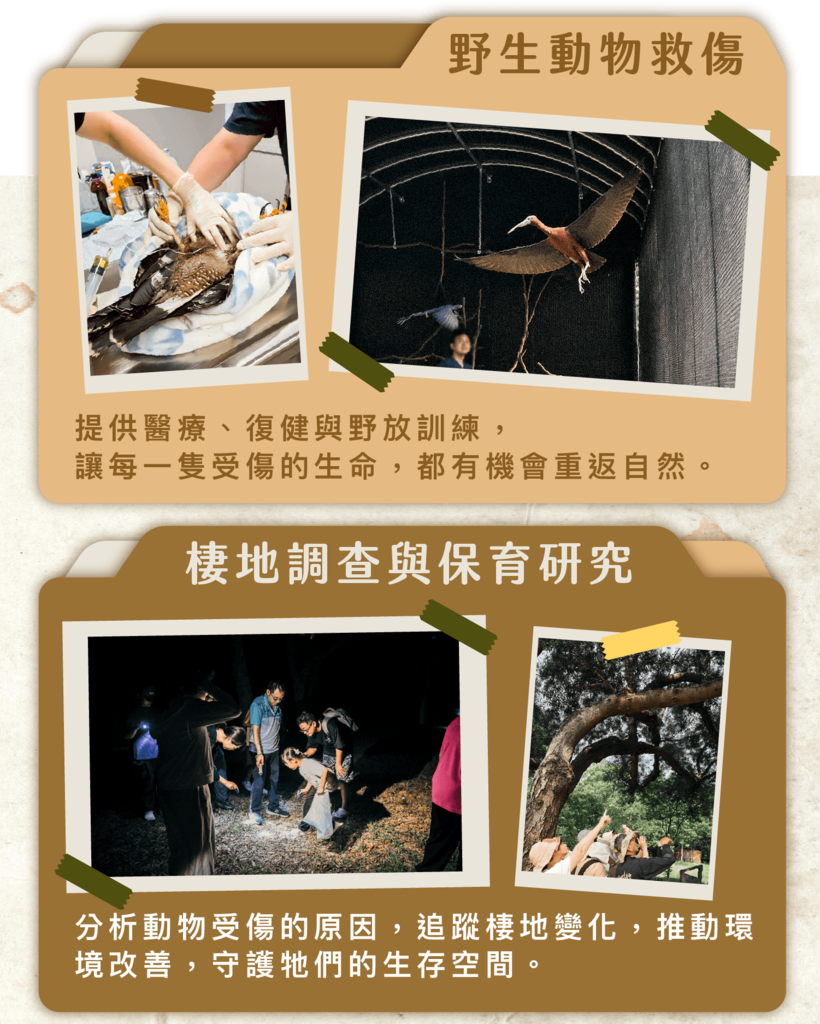 診所工作介紹:野生動物救傷、野放訓練與棲地調查研究