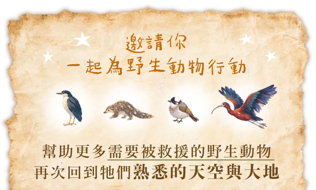 插畫:邀請你一起為夜鷺、穿山甲等野生動物行動