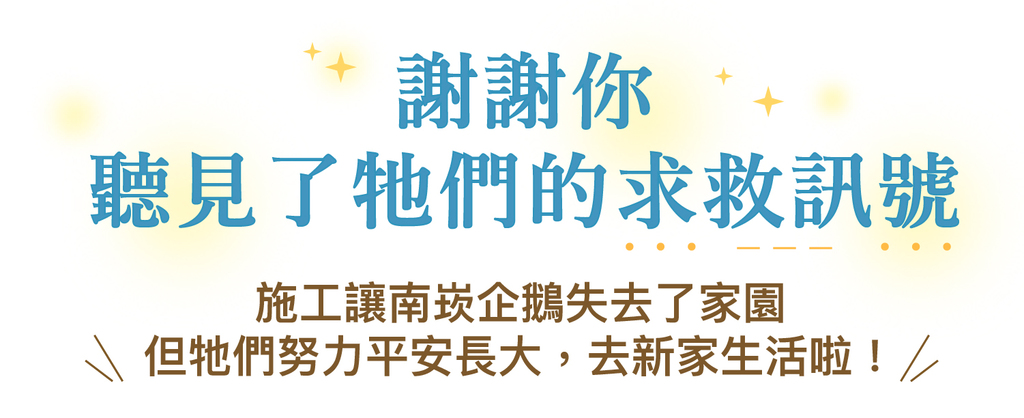 感謝圖:南崁企鵝雛鳥平安長大,搬到新家生活