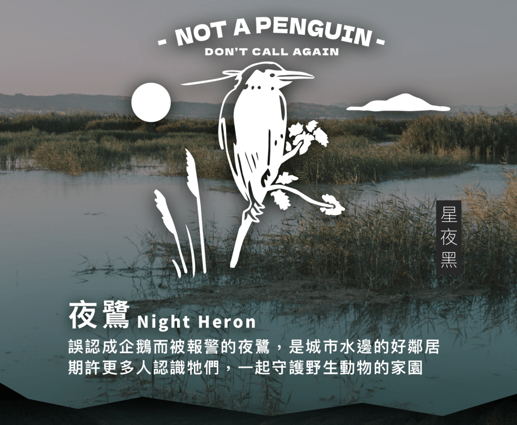 摺疊椅星夜黑款「NOT A PENGUIN」圖案:夜鷺曾被誤認成企鵝報警,是城市水邊的好鄰居